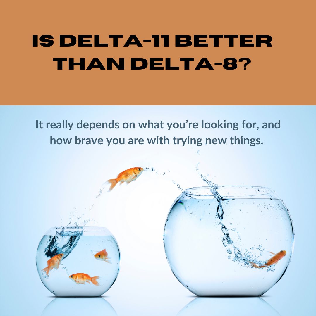 Is Delta 11 better than delta-8?