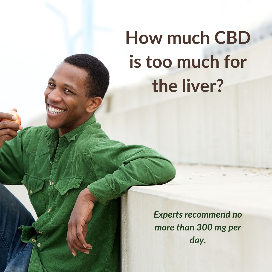 Featured image for “How much CBD is too much for the liver?”