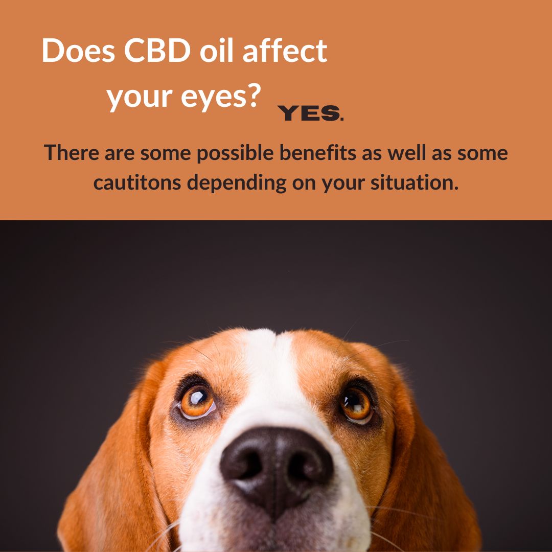 Does CBD oil affect your eyes?