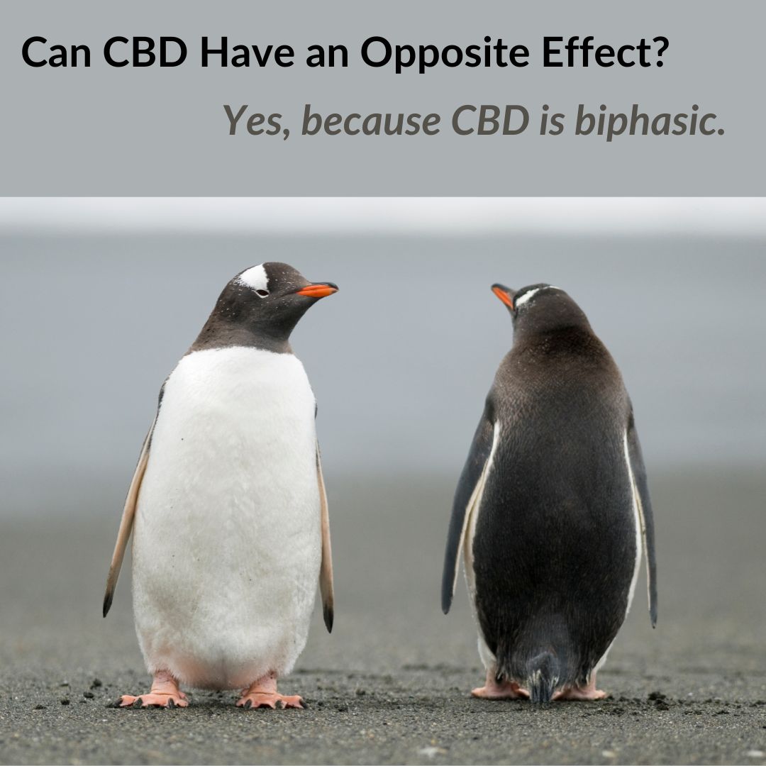 Can CBD Have an Opposite Effect?