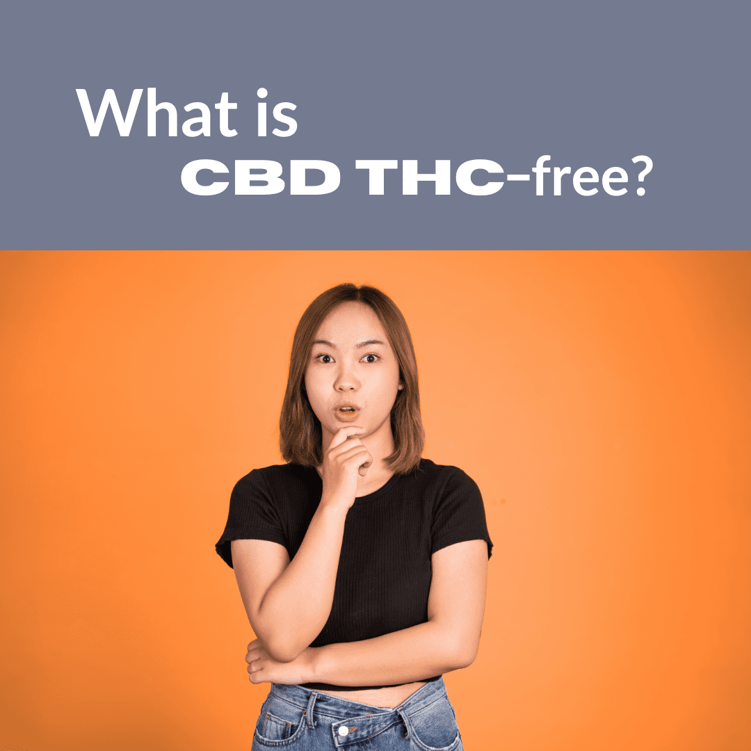 Featured image for “What is CBD THC-Free?”