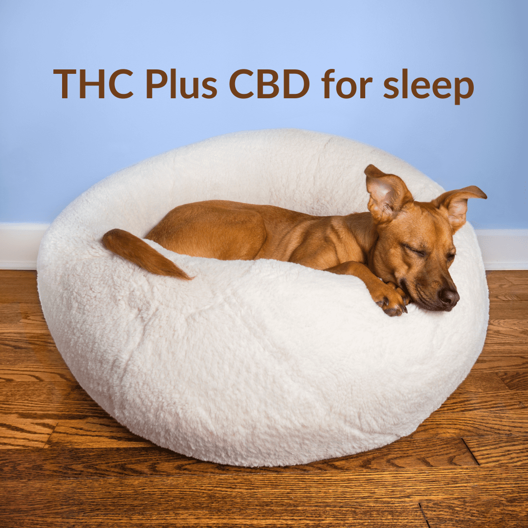 Featured image for “THC Plus CBD for Sleep”