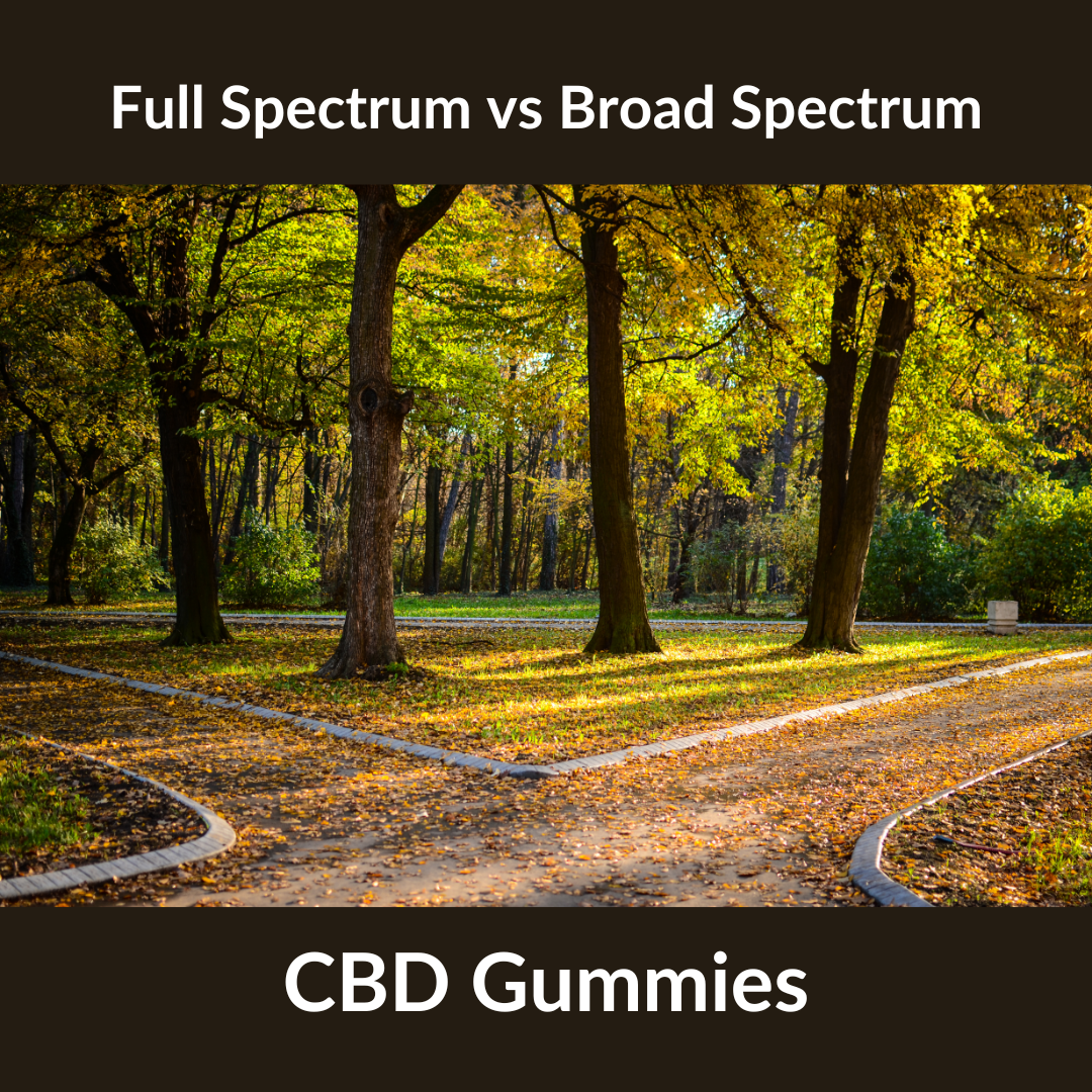 Full Spectrum vs Broad Spectrum CBD Gummies