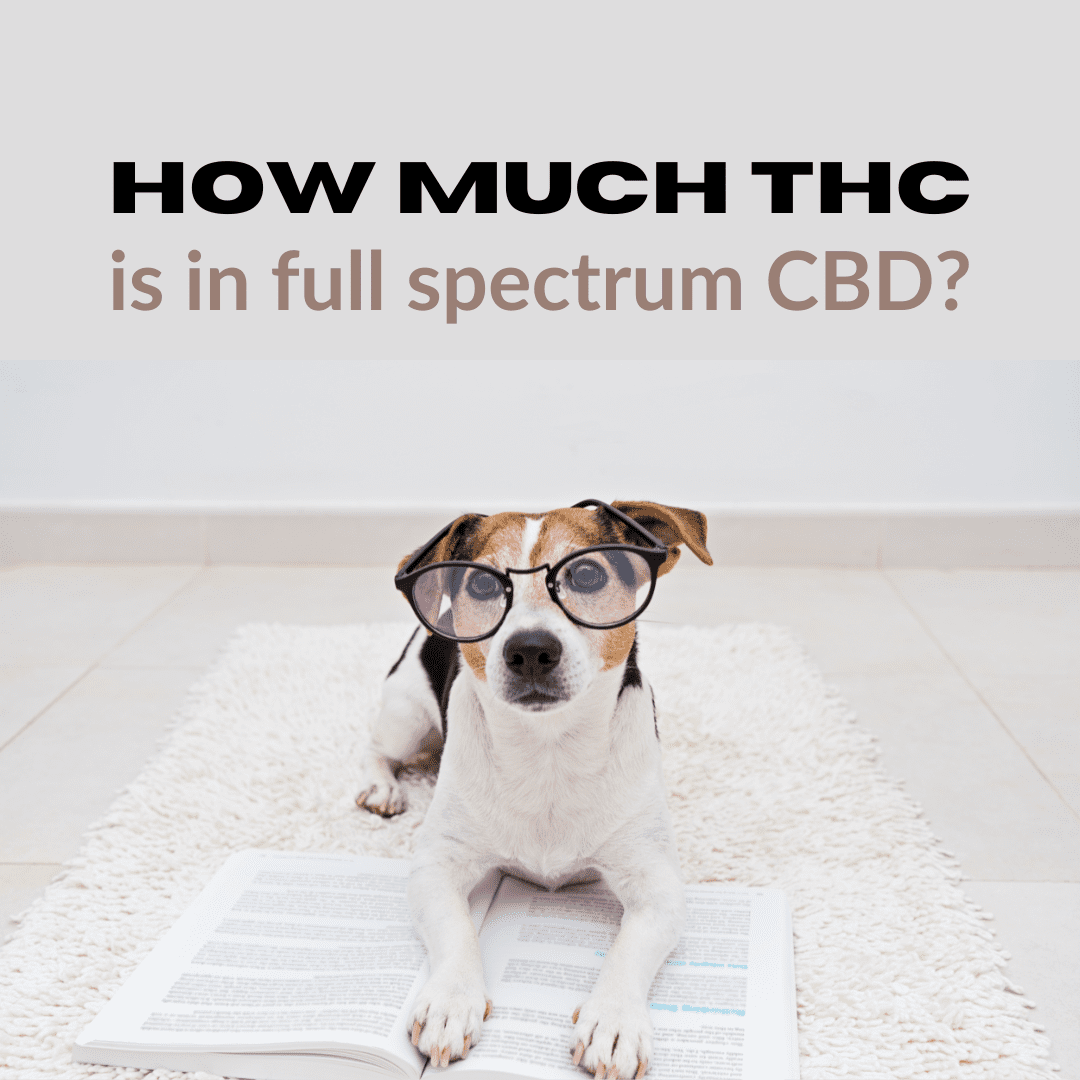 How Much THC is in Full Spectrum CBD