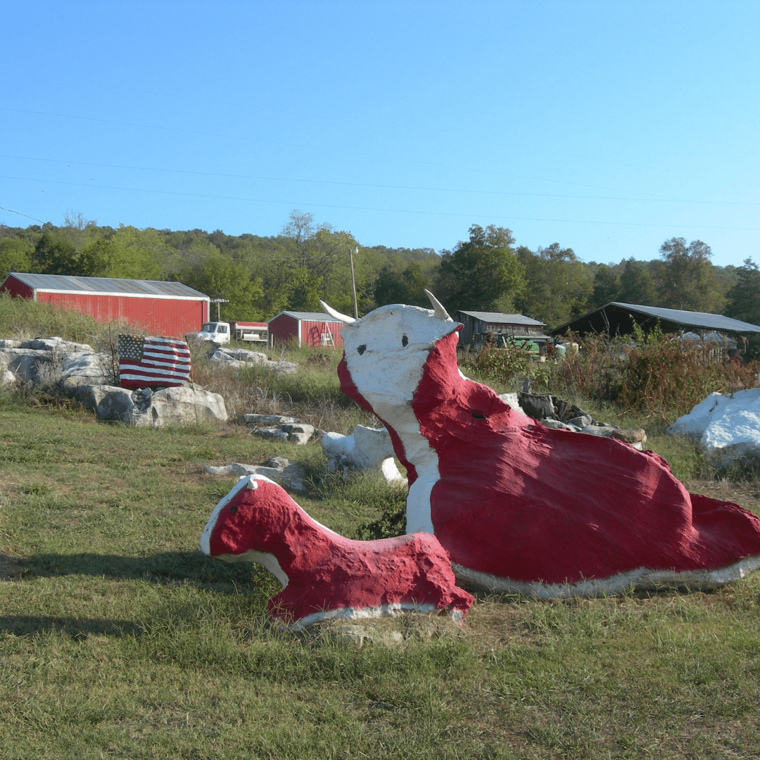 Featured image for “Get Some Exercise at Rock Zoo!”