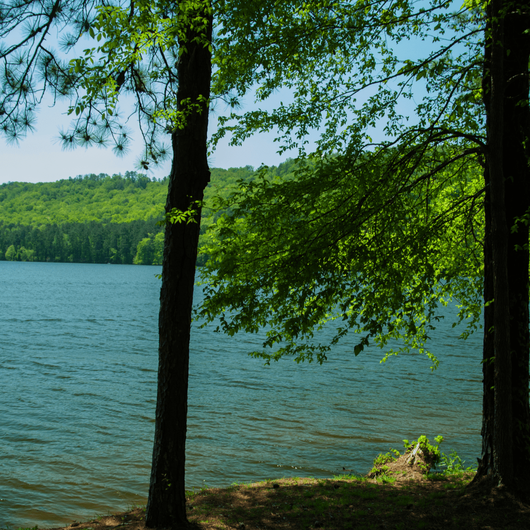 Featured image for “Simple Pleasures at Jackson County Park”