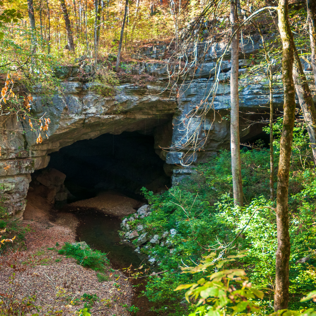 Featured image for “Welcome to Russell Cave!”