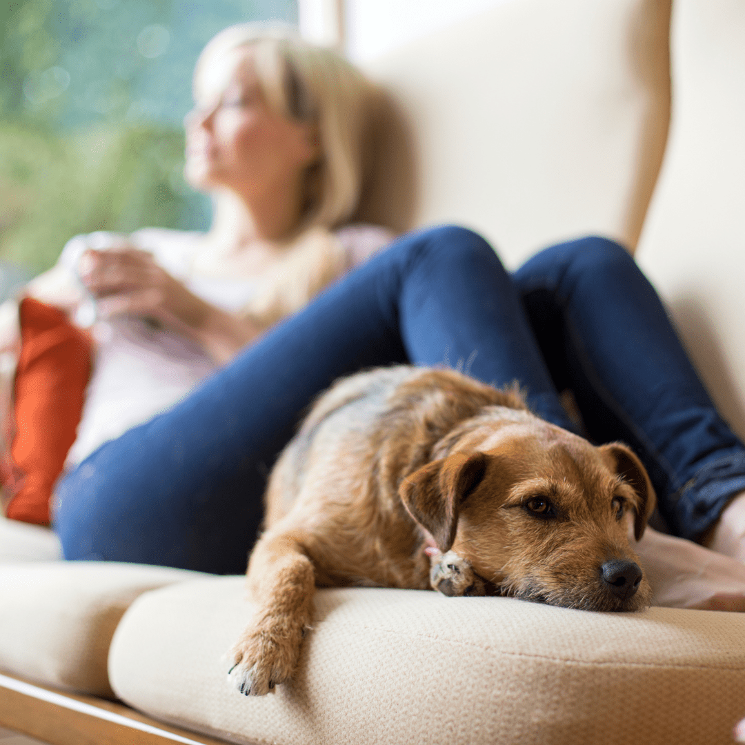 Featured image for “Natural Supplements for Relaxation”