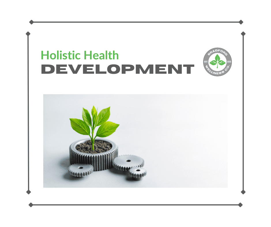 holistic health development