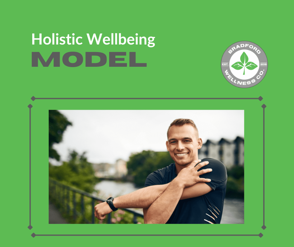 holistic wellbeing model