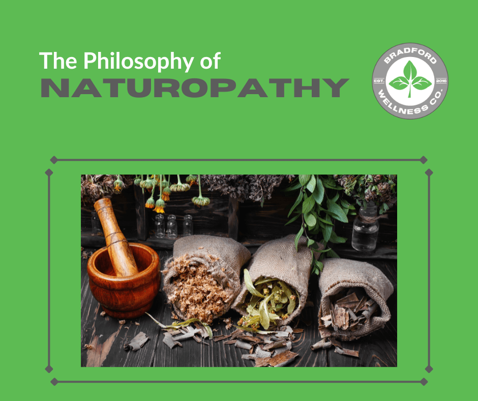 philosophy of naturopathy