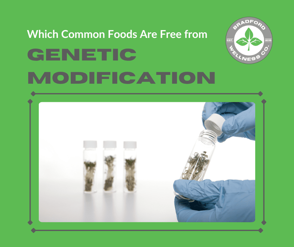 which common foods are free from genetic modification